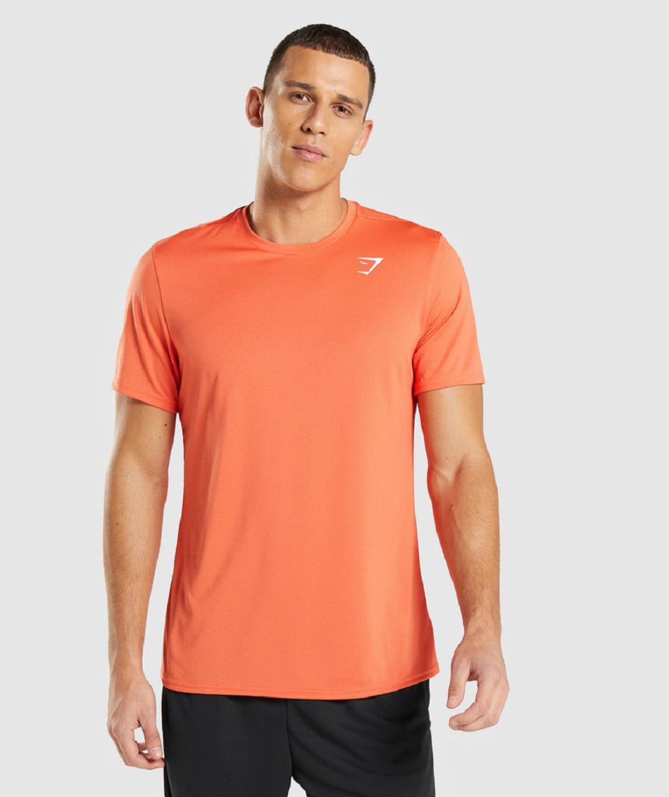 T Shirts Gymshark Arrival Hombre Naranjas | MX_3158TCE