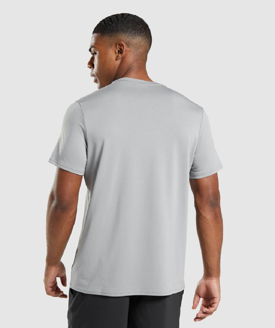 T Shirts Gymshark Arrival Regular Fit Hombre Grises | MX_3190AHK