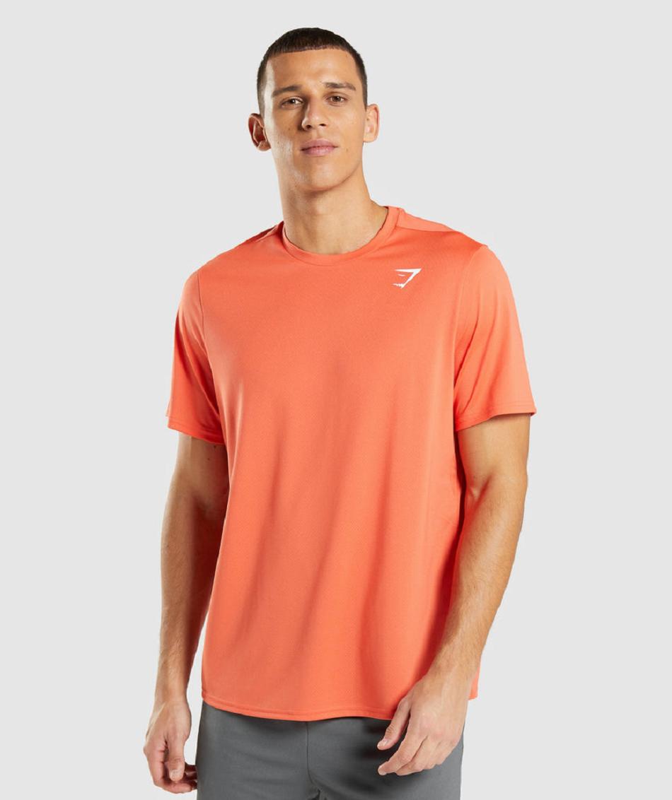 T Shirts Gymshark Arrival Regular Fit Hombre Naranjas | MX_3197JPQ