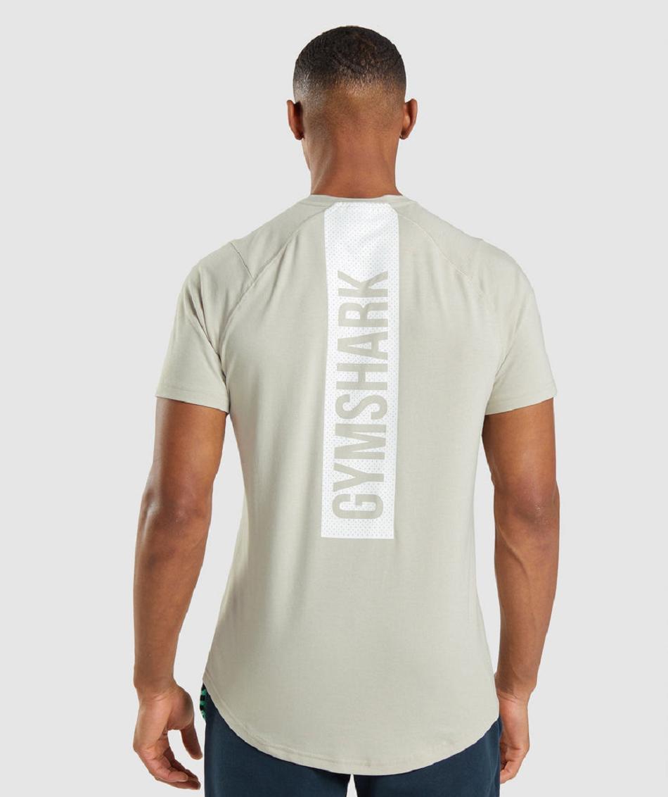 T Shirts Gymshark Bold Hombre Grises | MX_3155WNB