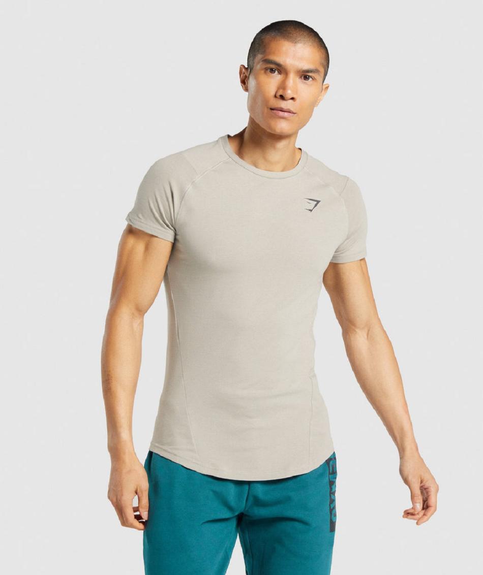 T Shirts Gymshark Bold Hombre Grises | MX_3199LIS