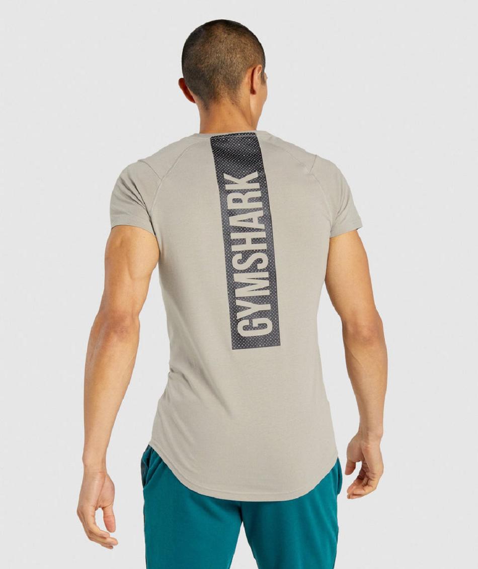 T Shirts Gymshark Bold Hombre Grises | MX_3199LIS