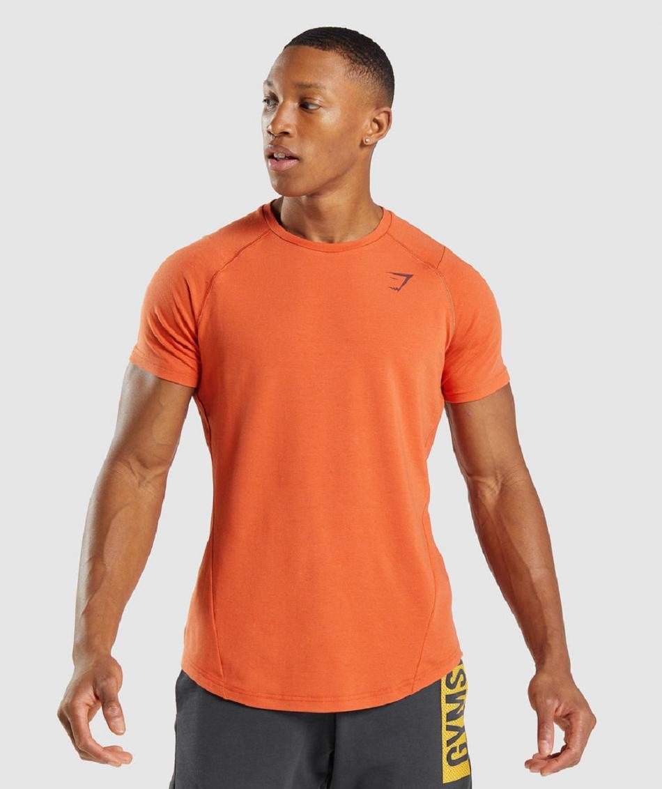 T Shirts Gymshark Bold Hombre Naranjas | MX_3167FDN