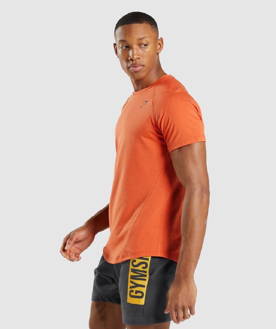 T Shirts Gymshark Bold Hombre Naranjas | MX_3167FDN