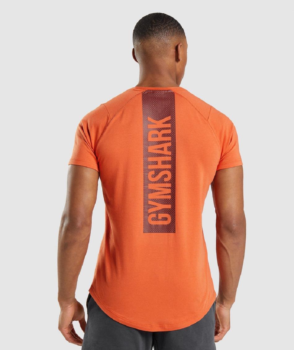 T Shirts Gymshark Bold Hombre Naranjas | MX_3167FDN