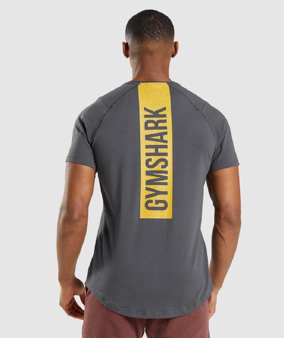 T Shirts Gymshark Bold Hombre Negros Grises | MX_3191AHK