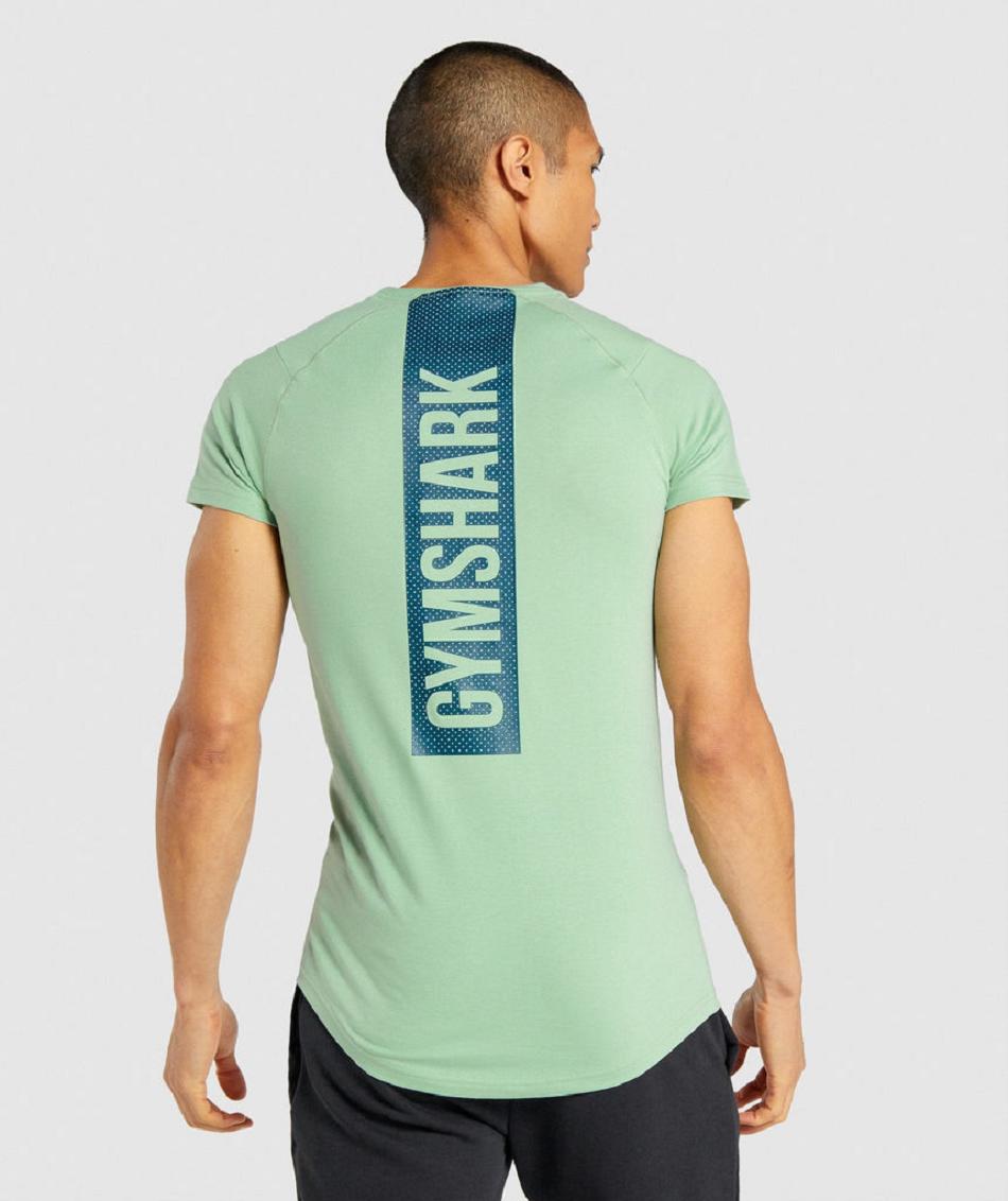 T Shirts Gymshark Bold Hombre Verdes | MX_3207QMA