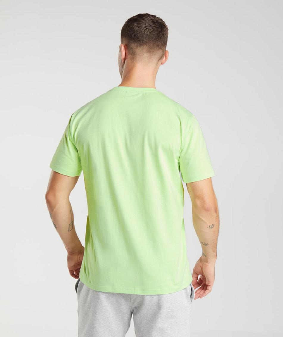 T Shirts Gymshark Crest Hombre Verdes | MX_3289ZUT