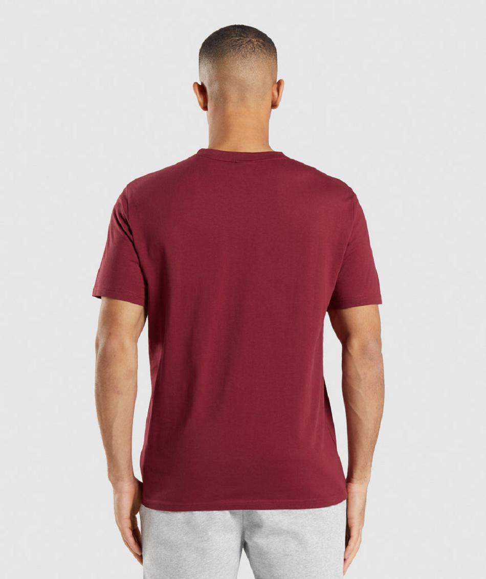 T Shirts Gymshark Crest Hombre Vino Rojos | MX_3213GSO