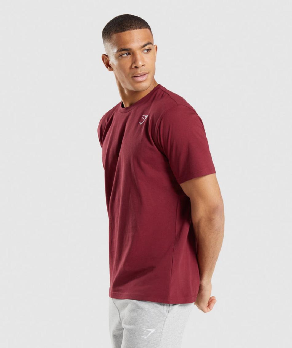 T Shirts Gymshark Crest Hombre Vino Rojos | MX_3213GSO