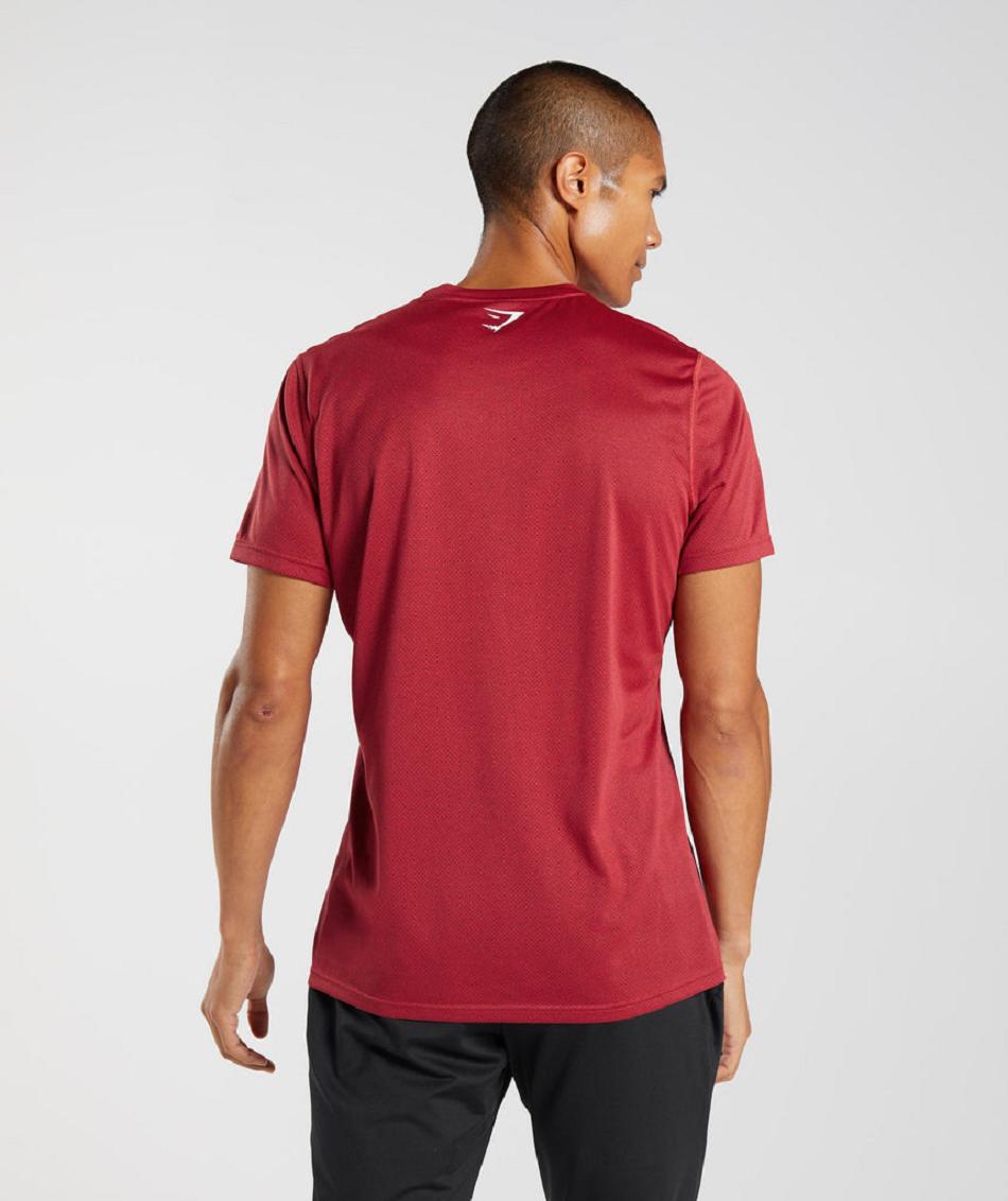 T Shirts Gymshark Deporte Hombre Rojos Negros | MX_3259OKI