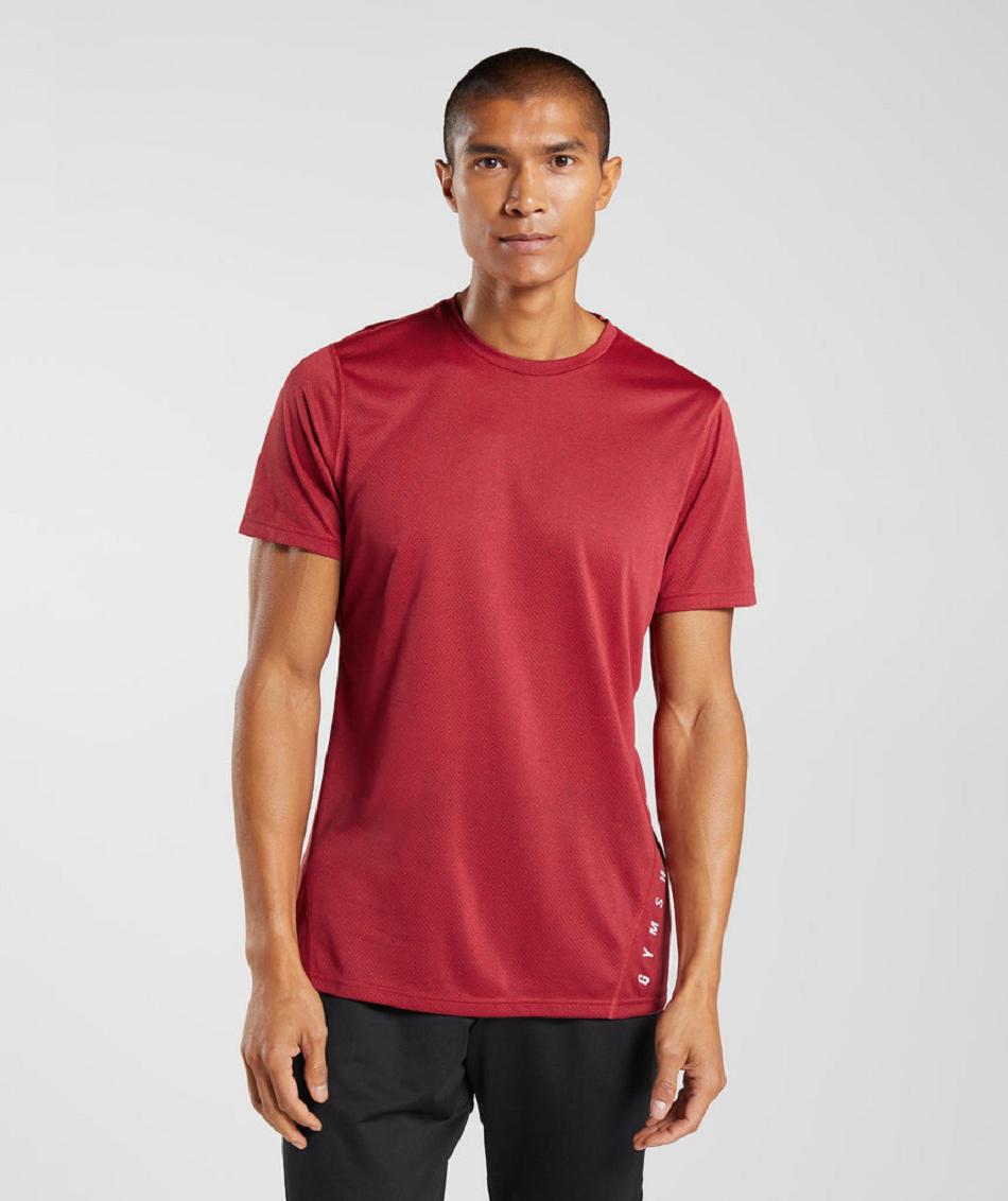 T Shirts Gymshark Deporte Hombre Rojos Negros | MX_3259OKI