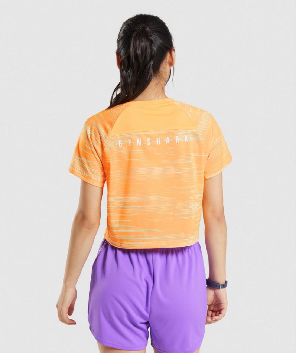 T Shirts Gymshark Deporte Midi Mujer Naranjas | MX_4008KOR