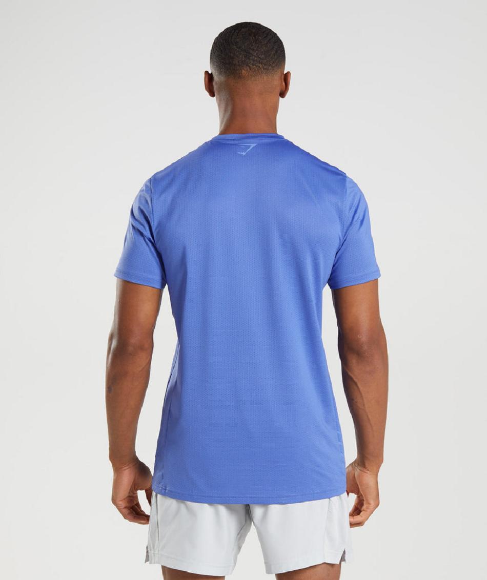 T Shirts Gymshark Deporte Stripe Hombre Azules | MX_3105VRW