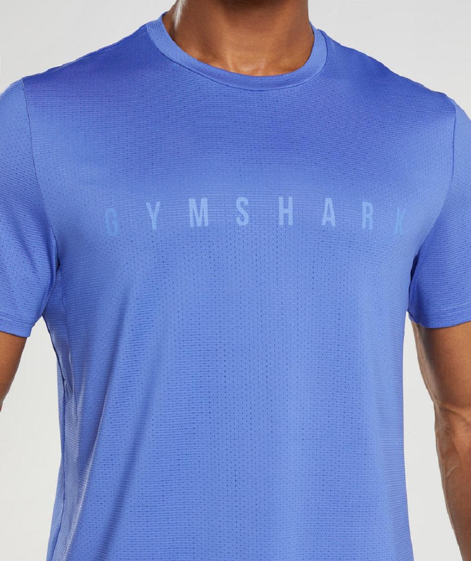 T Shirts Gymshark Deporte Stripe Hombre Azules | MX_3105VRW