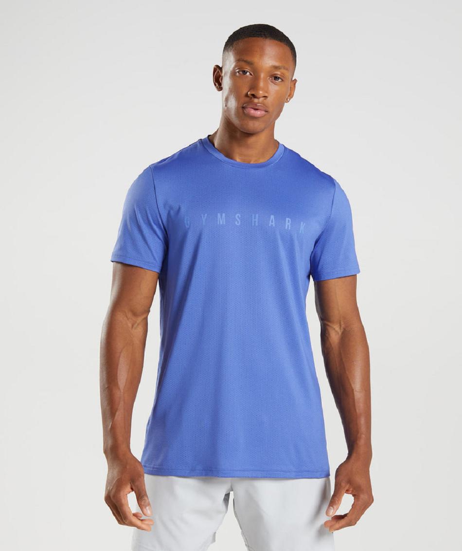 T Shirts Gymshark Deporte Stripe Hombre Azules | MX_3105VRW