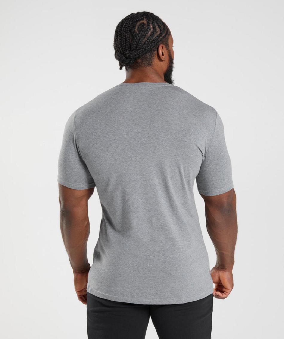 T Shirts Gymshark Essential Hombre Grises | MX_3233OKI