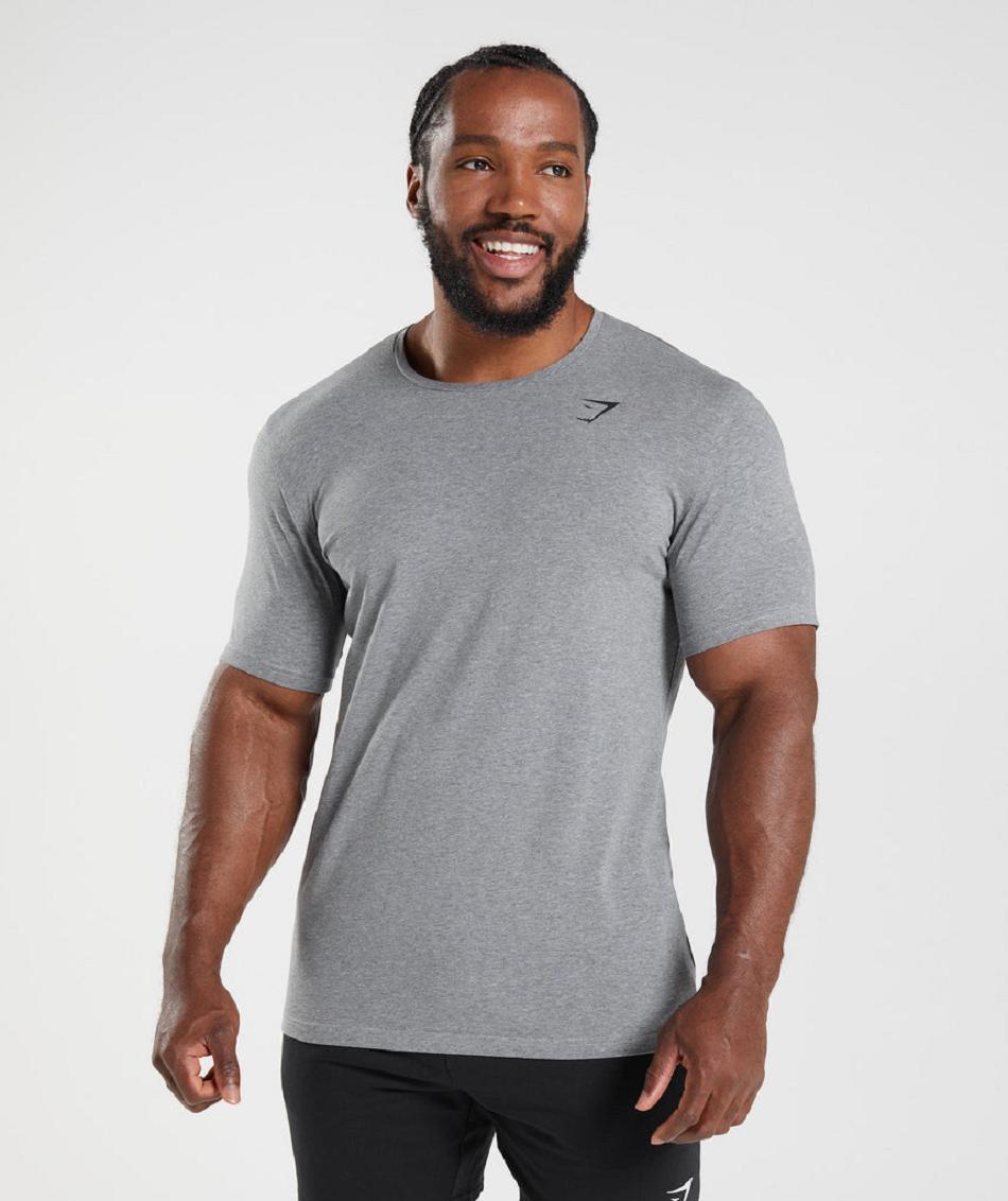 T Shirts Gymshark Essential Hombre Grises | MX_3233OKI