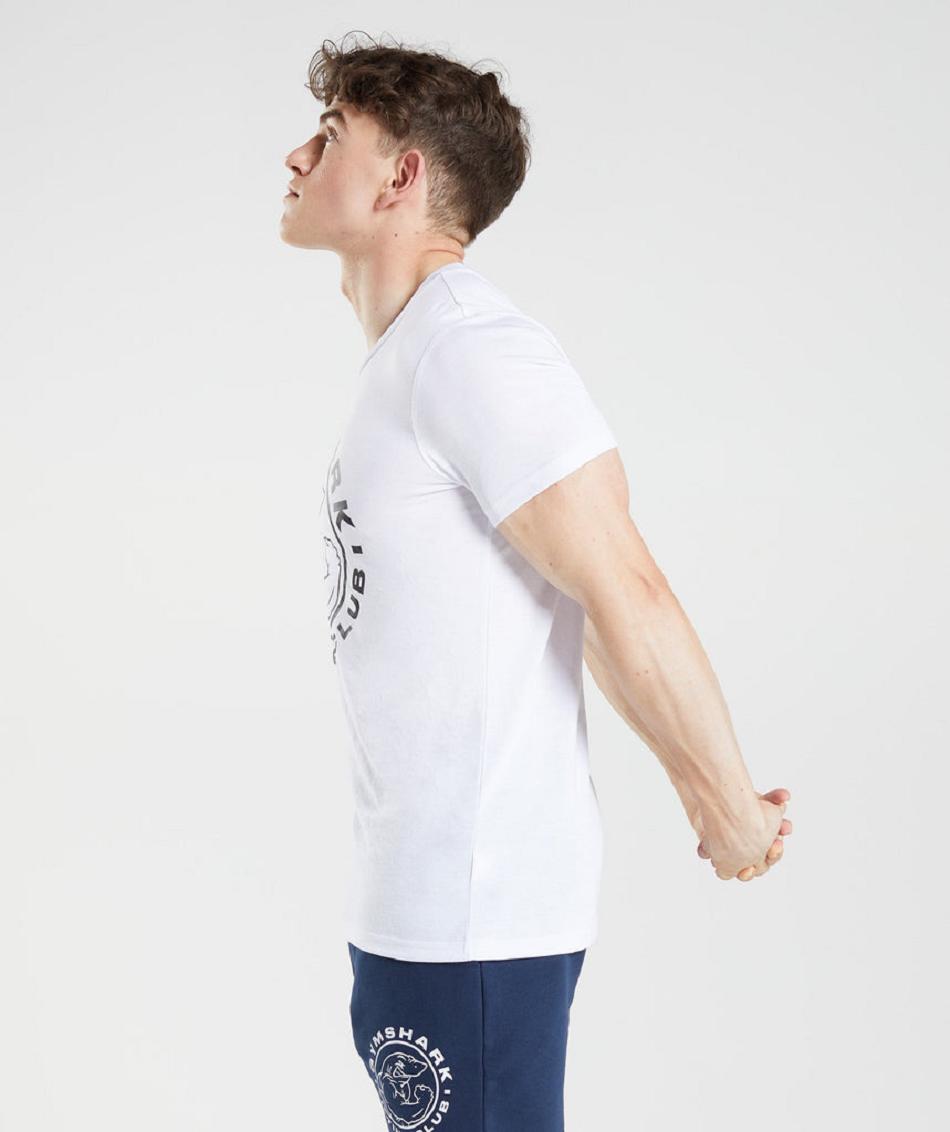 T Shirts Gymshark Legacy Hombre Blancos | MX_3194FDN