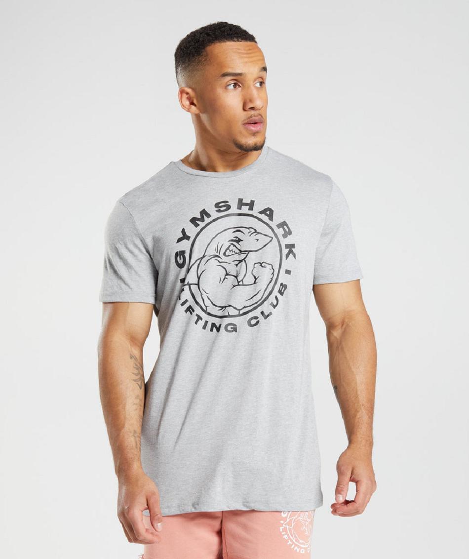 T Shirts Gymshark Legacy Hombre Grises Claro | MX_3140DFM