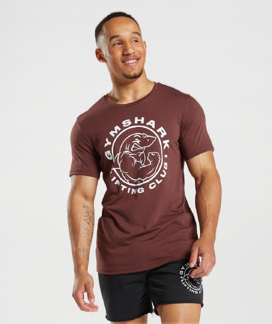 T Shirts Gymshark Legacy Hombre Rosas Marrom | MX_3195GSO