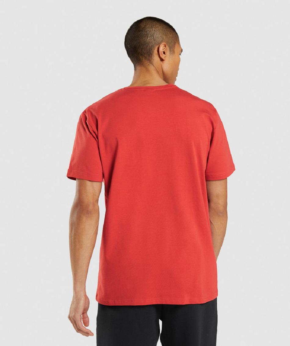 T Shirts Gymshark Sharkhead Infill Hombre Rojos | MX_3127KOR