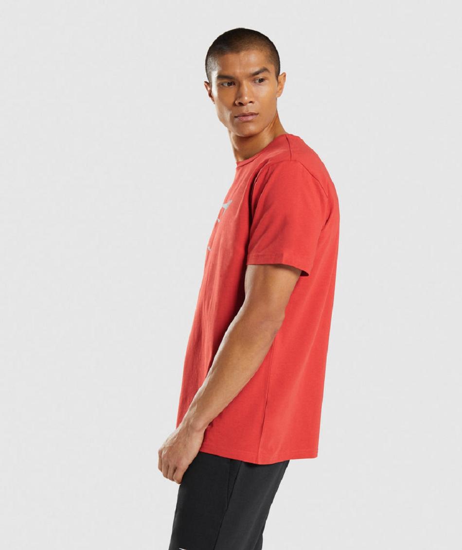 T Shirts Gymshark Sharkhead Infill Hombre Rojos | MX_3127KOR