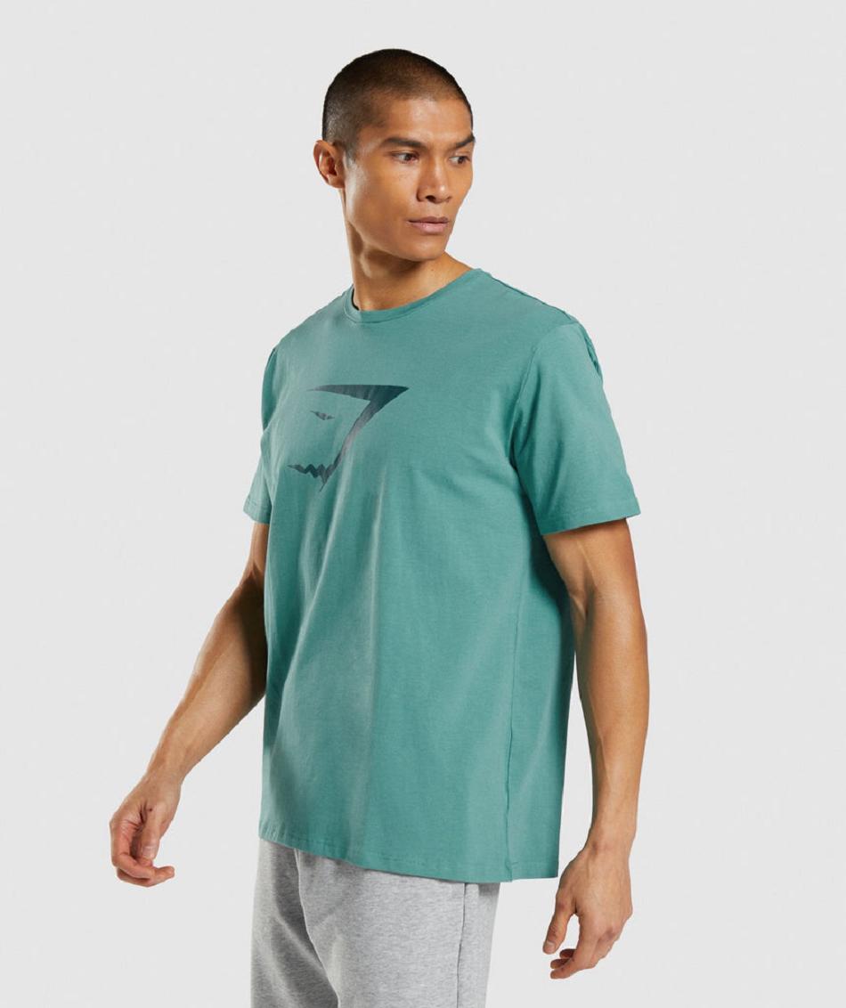 T Shirts Gymshark Sharkhead Infill Hombre Turquesa | MX_3128LIS