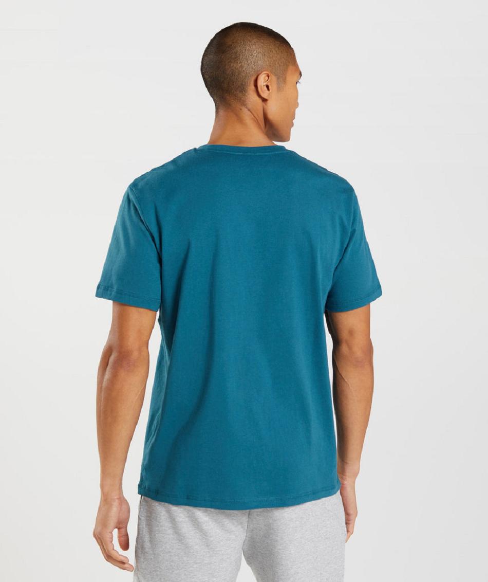 T Shirts Gymshark Sharkhead Infill Hombre Azules | MX_3234PJJ