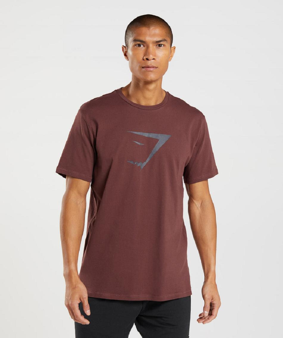 T Shirts Gymshark Sharkhead Infill Hombre Rosas Marrom | MX_3236SGL