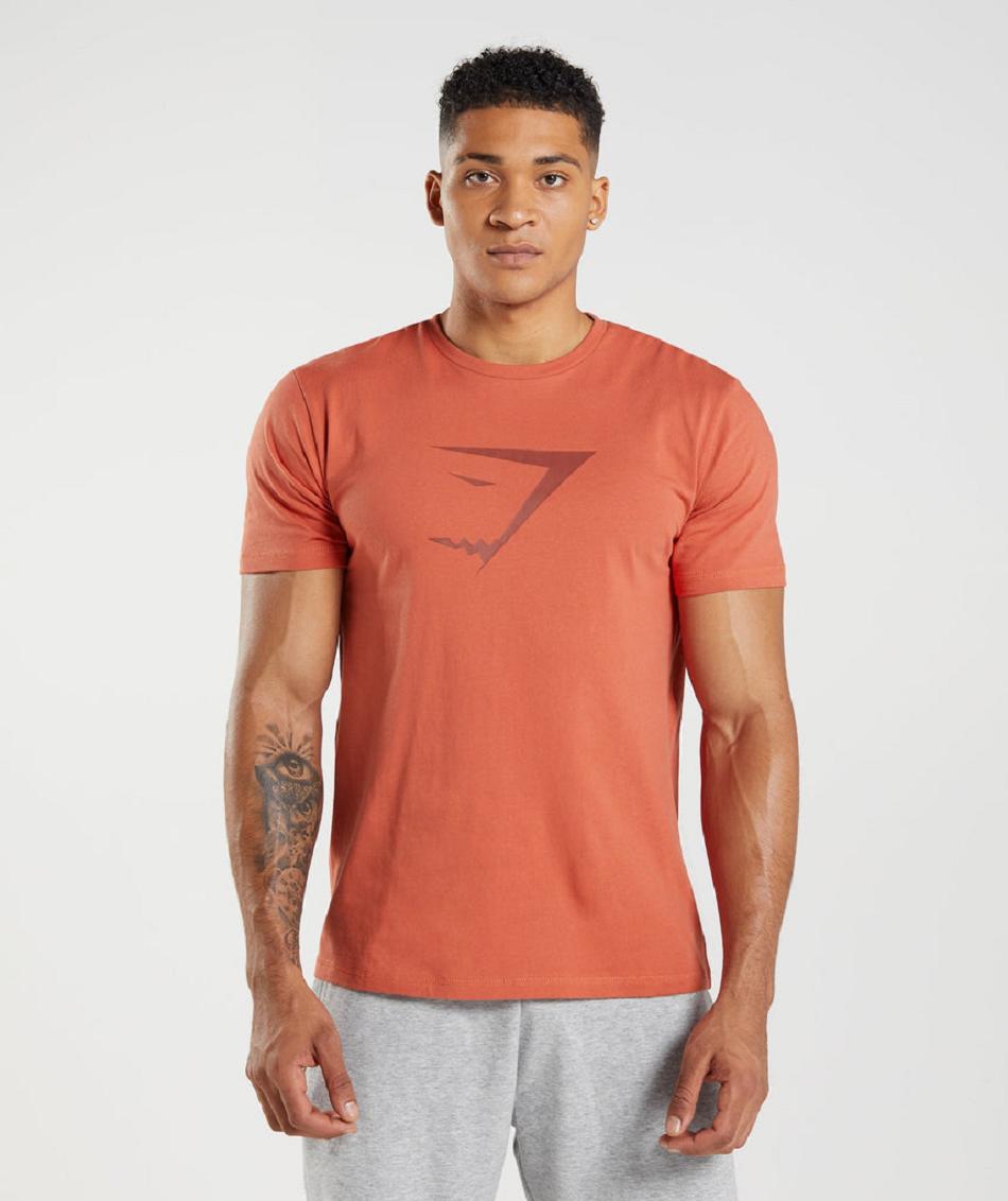 T Shirts Gymshark Sharkhead Infill Hombre Rojos | MX_3250MQZ