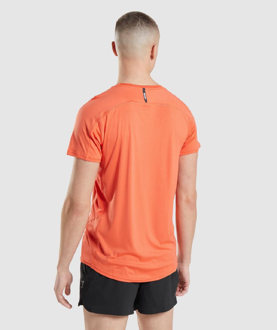 T Shirts Gymshark Speed Evolve Hombre Naranjas | MX_3099JPQ