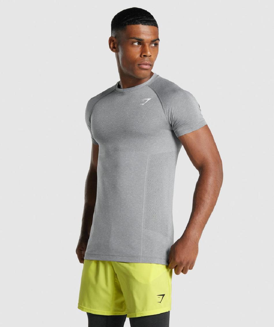 T Shirts Gymshark Vital Light Seamless Hombre Grises | MX_3163PJJ