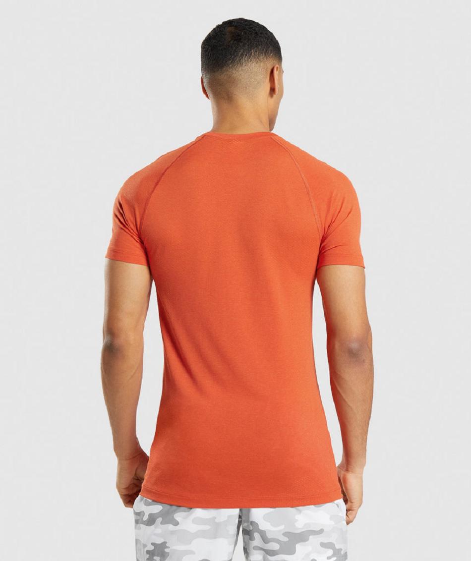 T Shirts Gymshark Vital Light Seamless Hombre Naranjas | MX_3210SGL