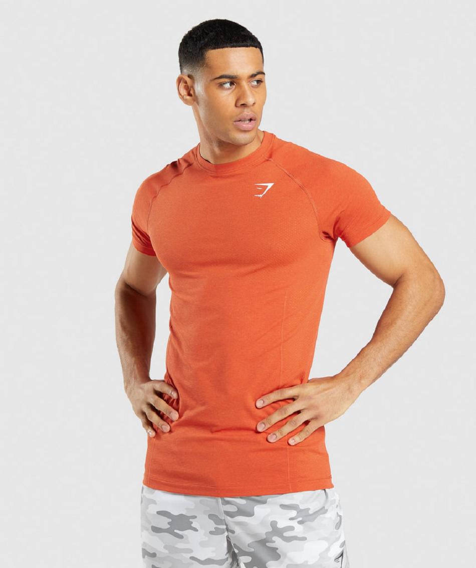 T Shirts Gymshark Vital Light Seamless Hombre Naranjas | MX_3210SGL