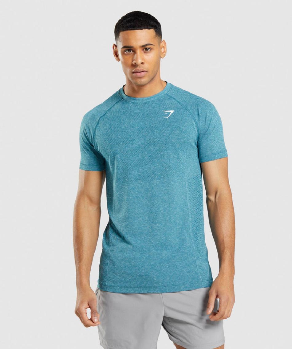 T Shirts Gymshark Vital Light Seamless Hombre Turquesa | MX_3211DFM