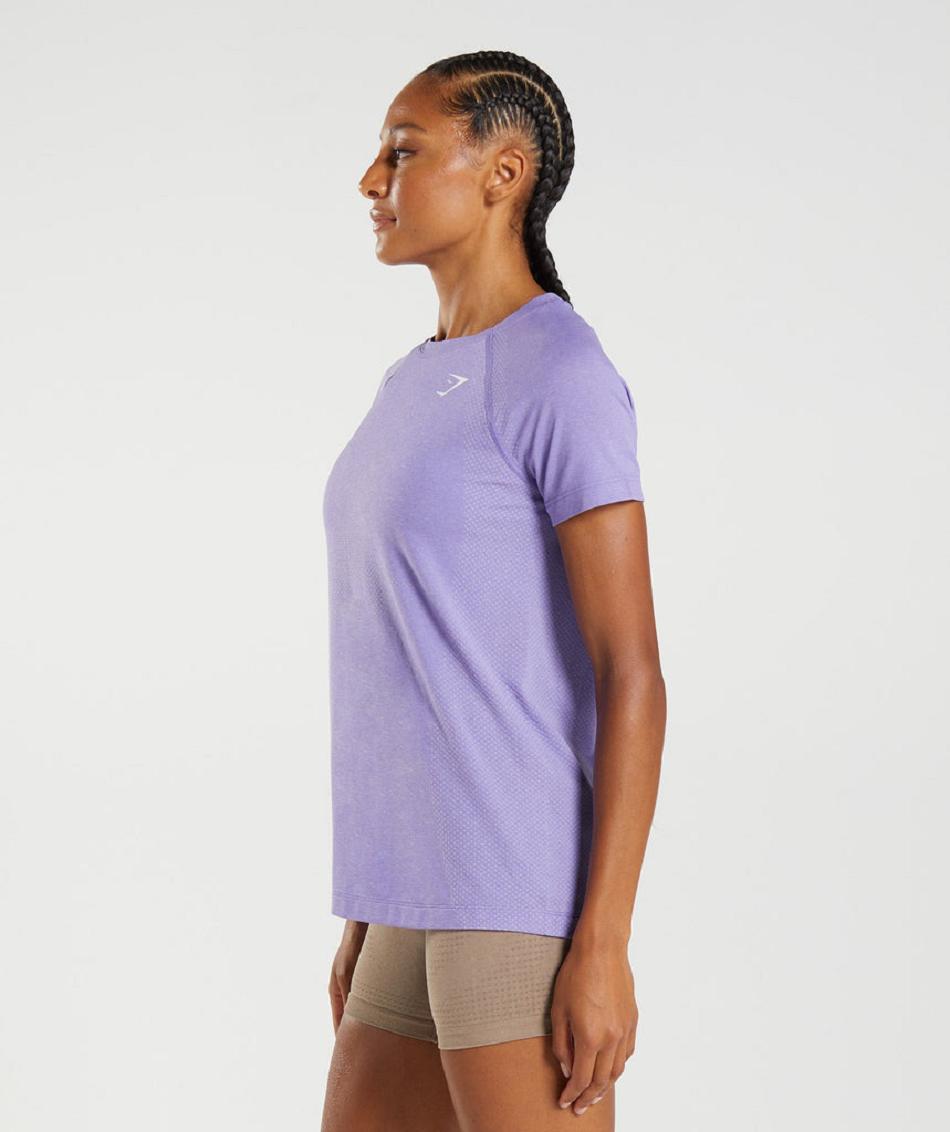 T Shirts Gymshark Vital Seamless 2.0 Light Mujer Morados | MX_4045WNB