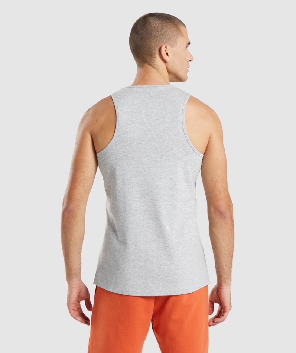 Tank Top Gymshark Critical 2.0 Hombre Grises Claro | MX_2990VRW