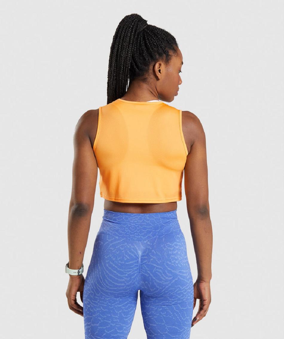 Tank Top Gymshark Entrenamiento Crop Mujer Albaricoque Naranjas | MX_3937BEX